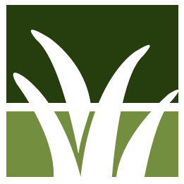 Antioch Lawn Clean Up