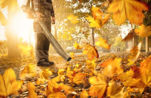 Leaf Blowing Service in Antioch