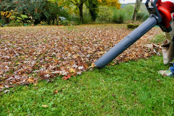 Leaf Vacuuming Service in Antioch