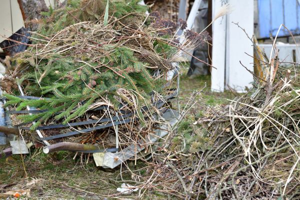Yard Debris Removal in Antioch