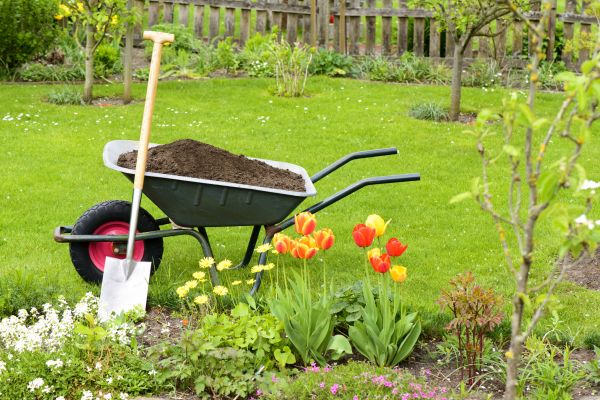 Cost of Spring Yard Cleanup in Antioch