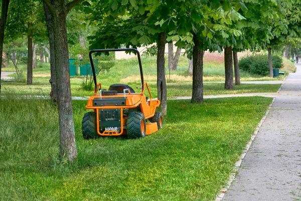 Cost of Landscaping Cleanup Service in Antioch