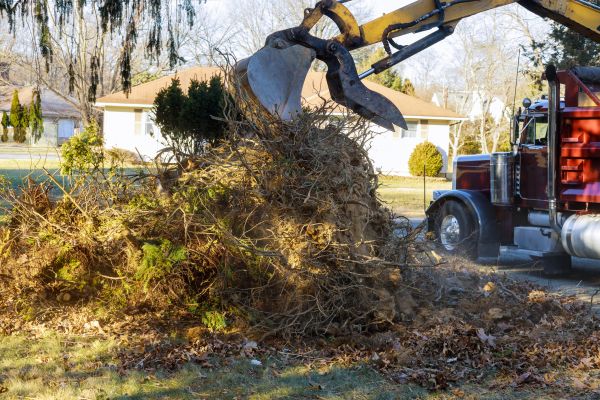 Storm Debris Removal in Antioch