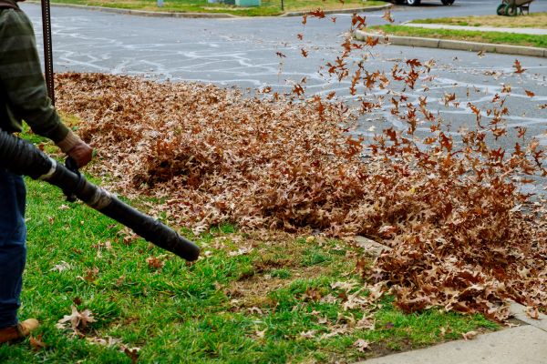 Cost of Garden Leaf Removal in Antioch