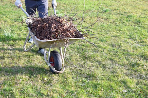 Yard Brush Removal in Antioch