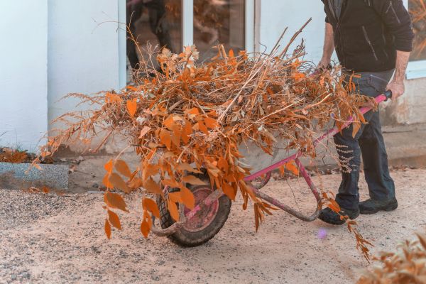Lawn Debris Cleanup in Antioch