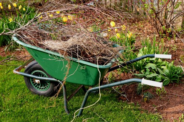 Lawn Waste Removal in Antioch