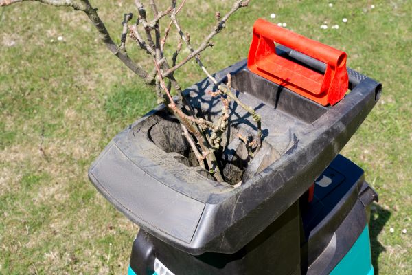 Brush Cleanup Service in Antioch