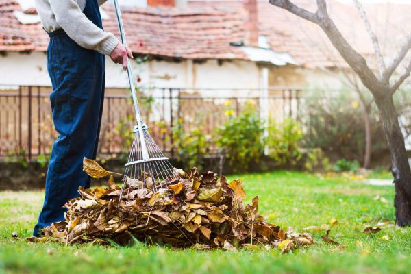 Cost of Fall Yard Cleanup Service in Antioch