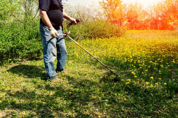 Cost of Yard Clearing Service in Antioch