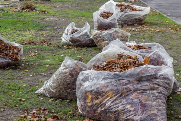 Cost of Leaf Pile Disposal in Antioch
