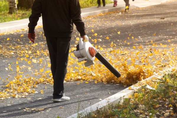Commercial Leaf Removal in Antioch